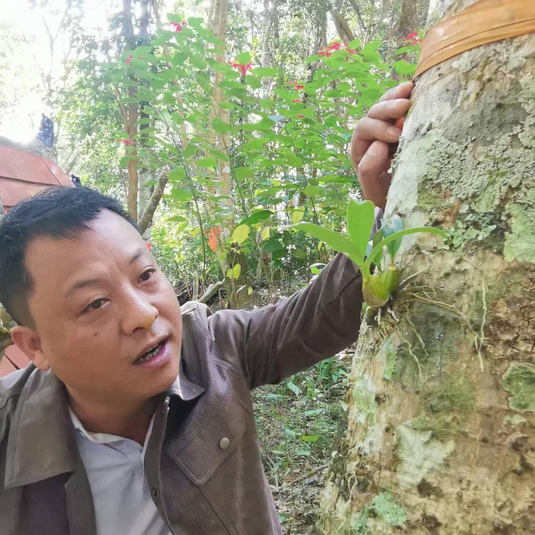 农夫小院特产店