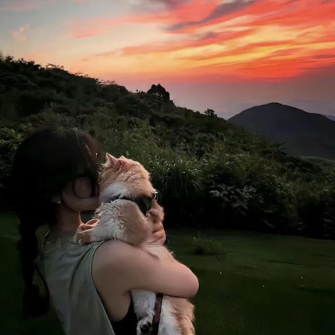 **不吃泡面-