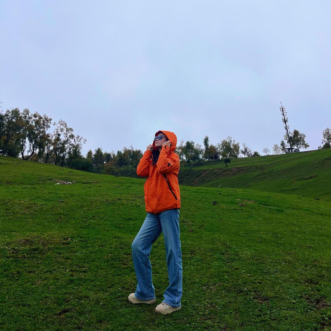 冰糖小葫卢🌻
