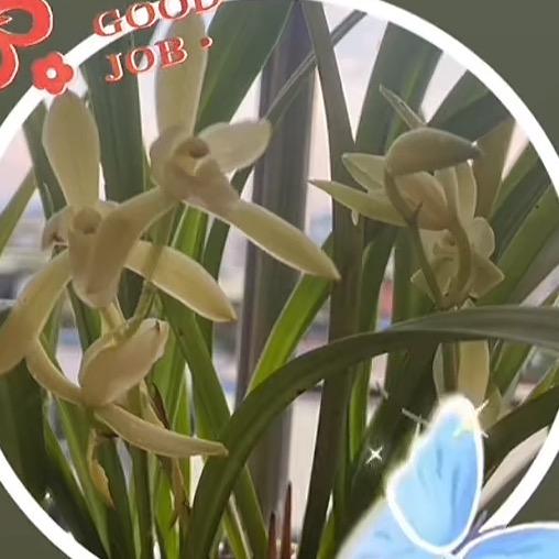 开心就好悦翔