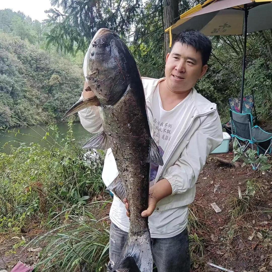 在下，鱼多多