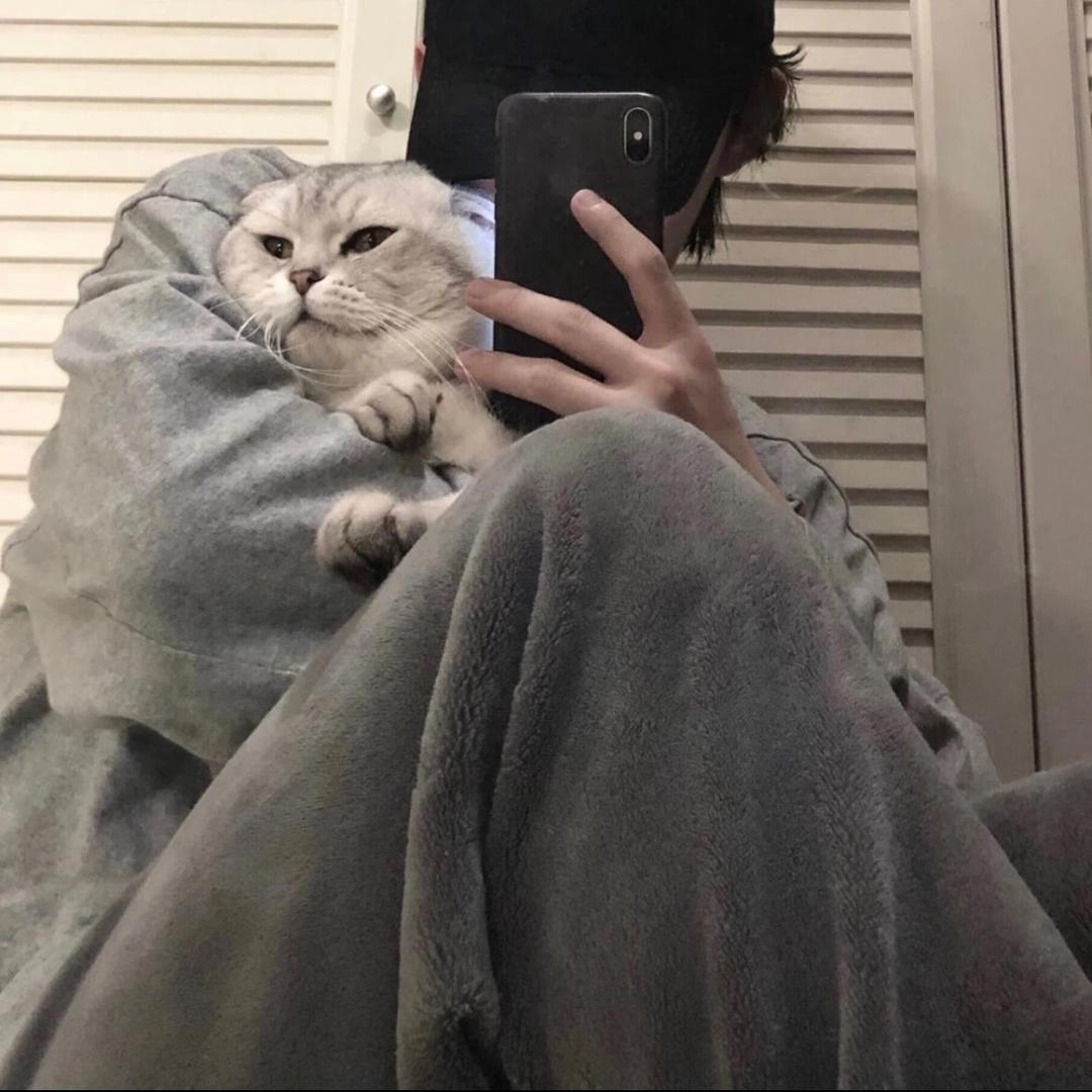 狮子睡不着