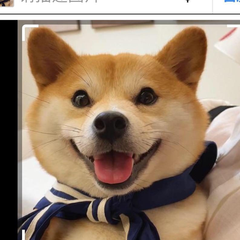 昆明皇家狗场