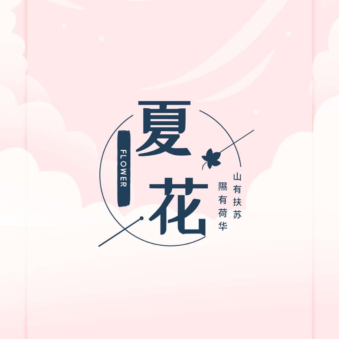 夏花儿🌻