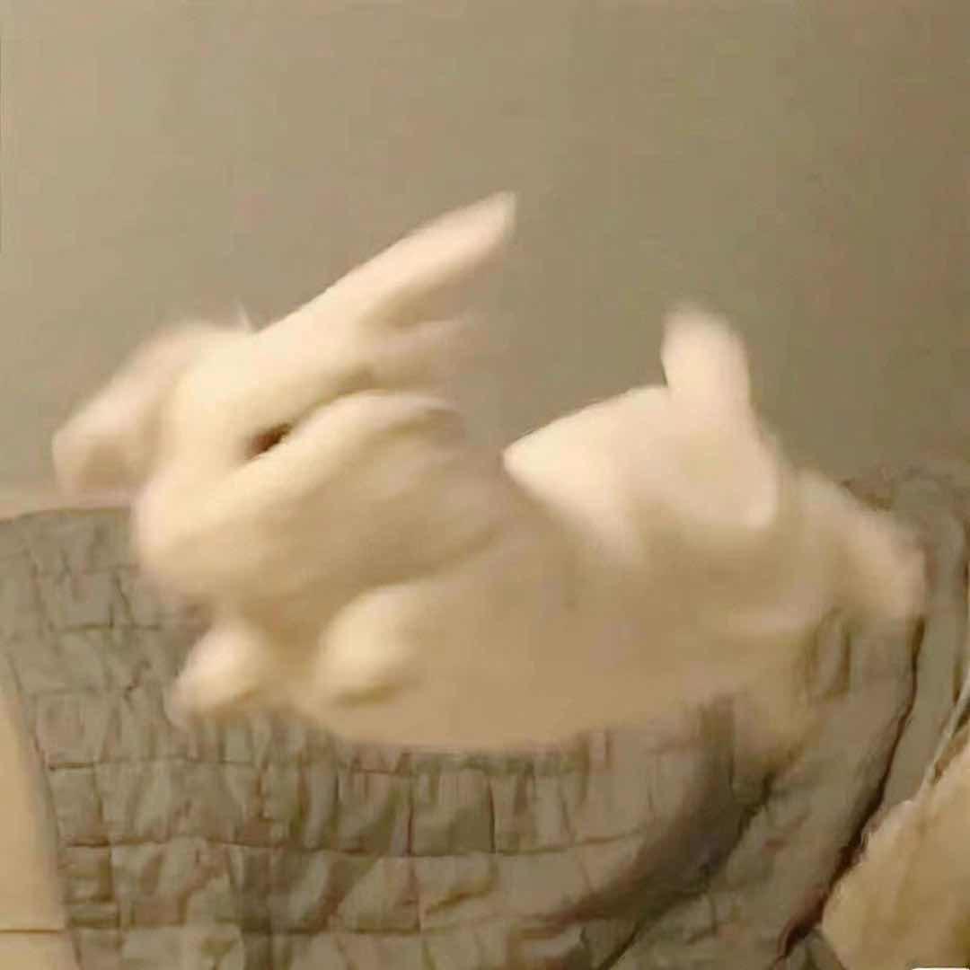 是若若吖~