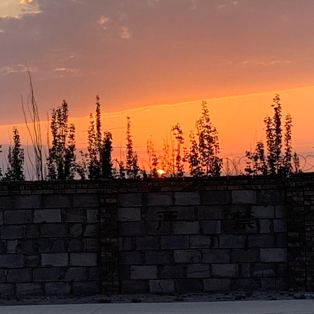 ㅤㅤ皓月ㅤㅤㅤꫛ℘℘ꫀꪄꪶ