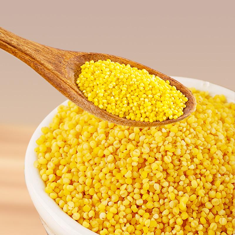 敖汉臻选农家黄小米