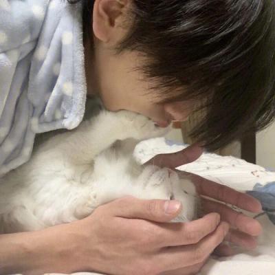 洛溪