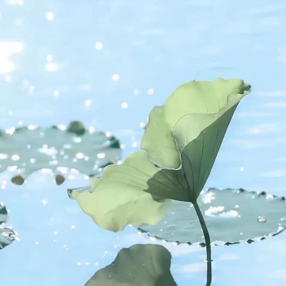 送你一朵小红花