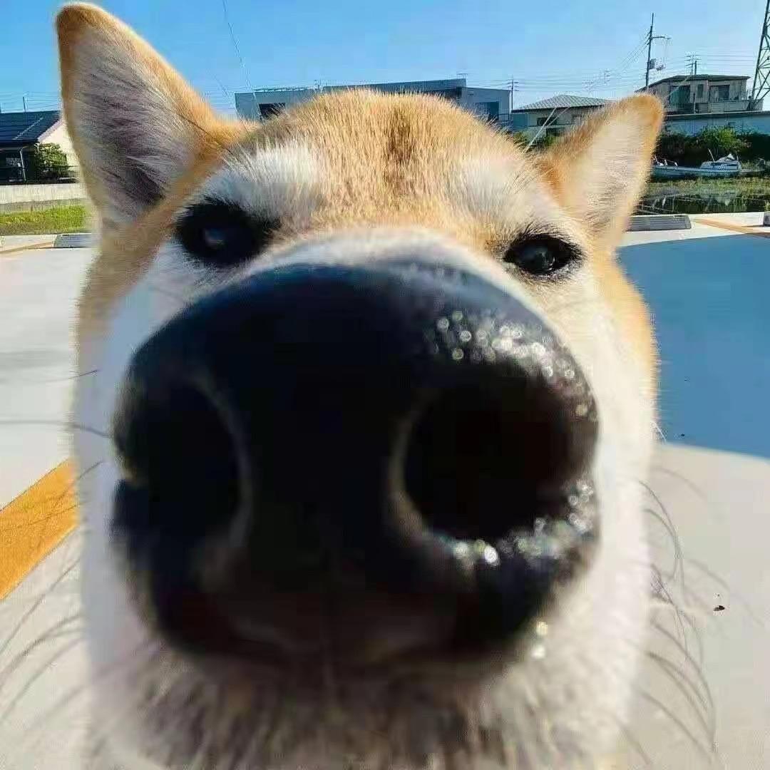 很脆弱