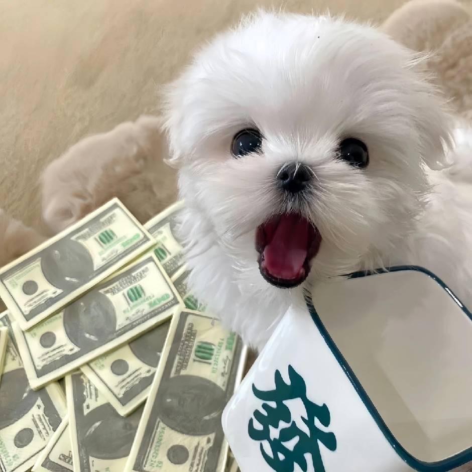万
