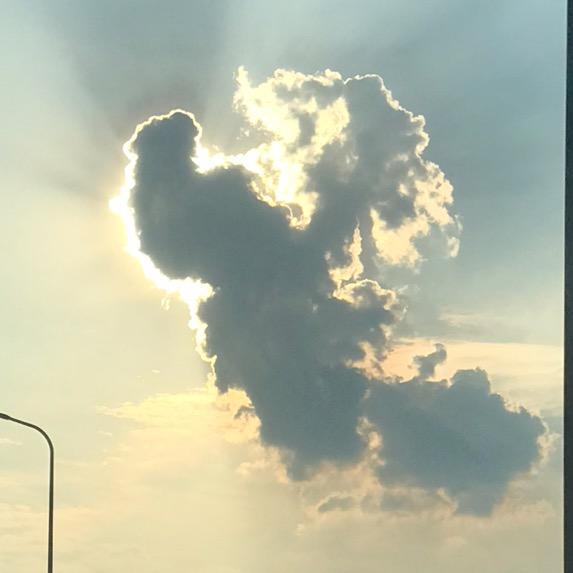 旗扬