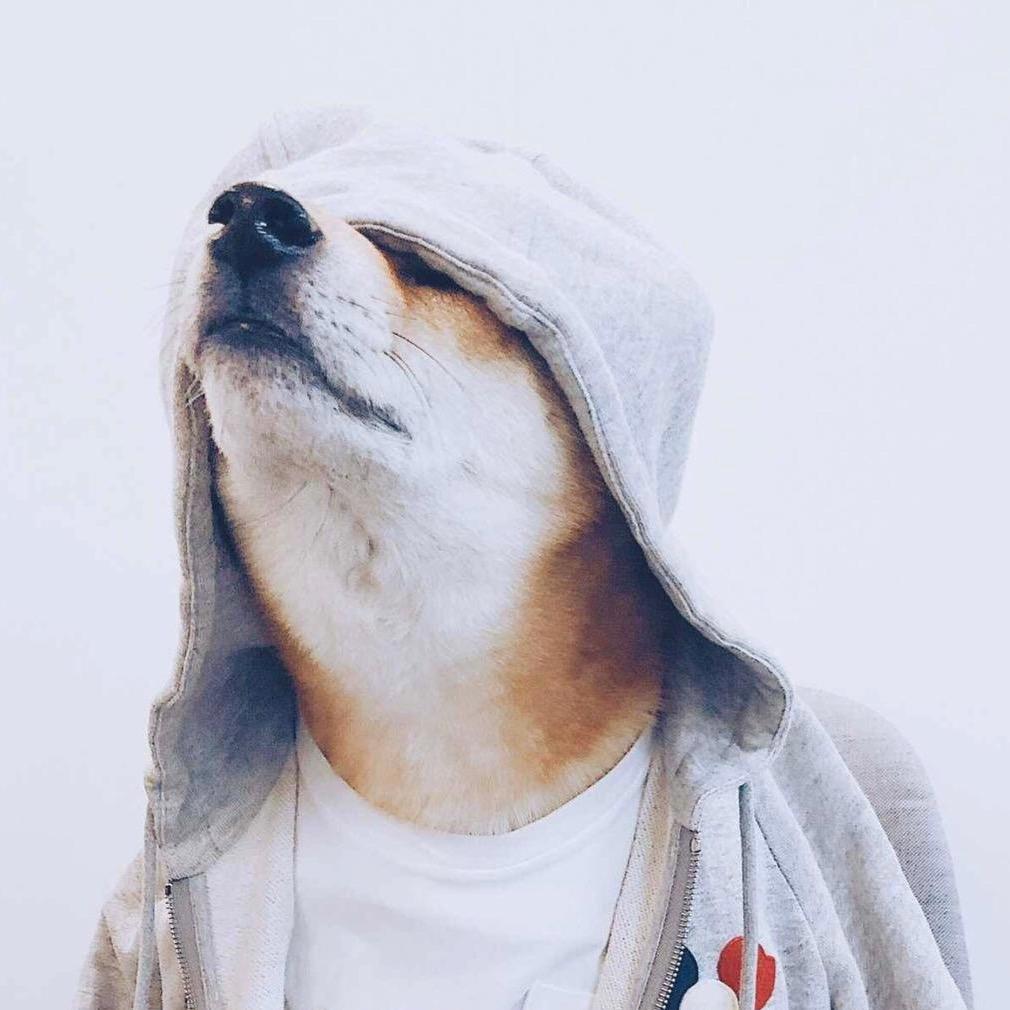 熳熳侃娱乐