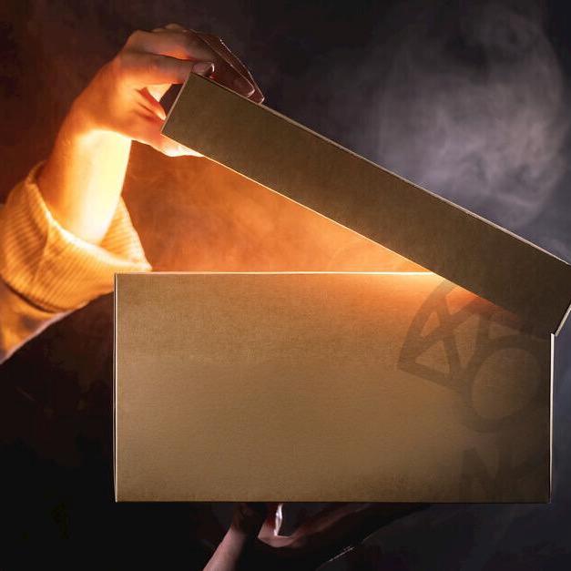 羊尖伟业-专注瓦楞纸箱