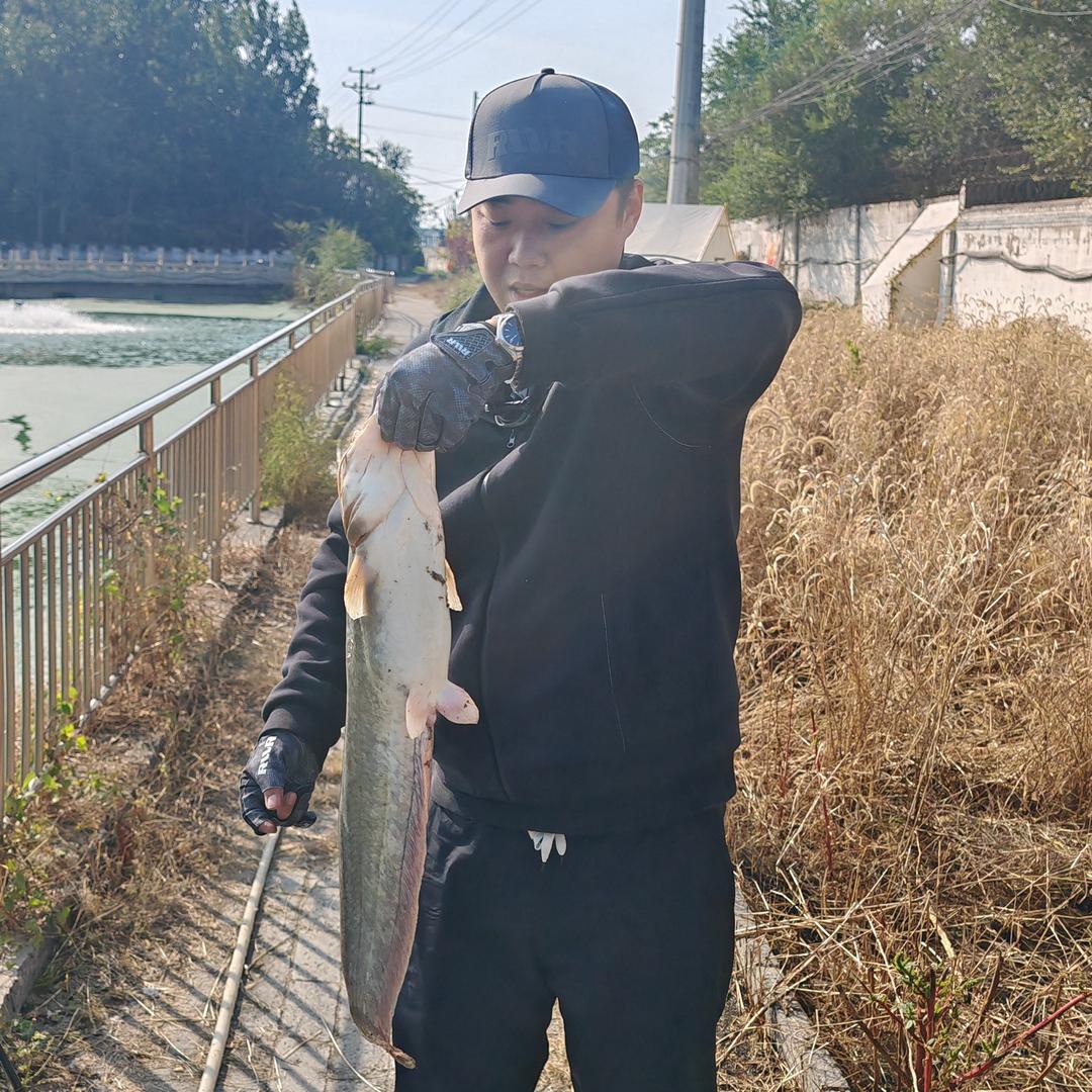 老递i路亚