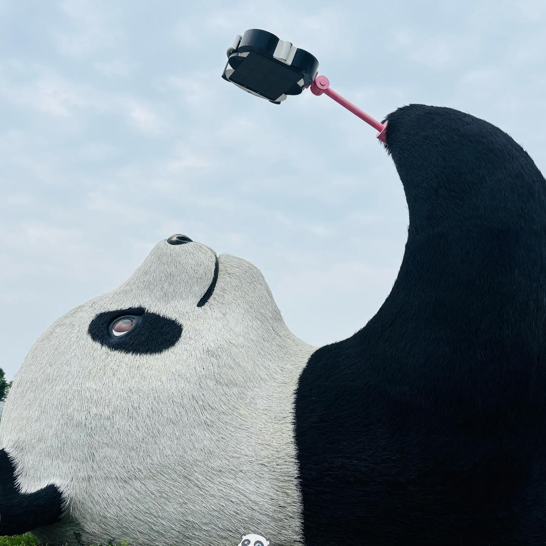 竞技体操