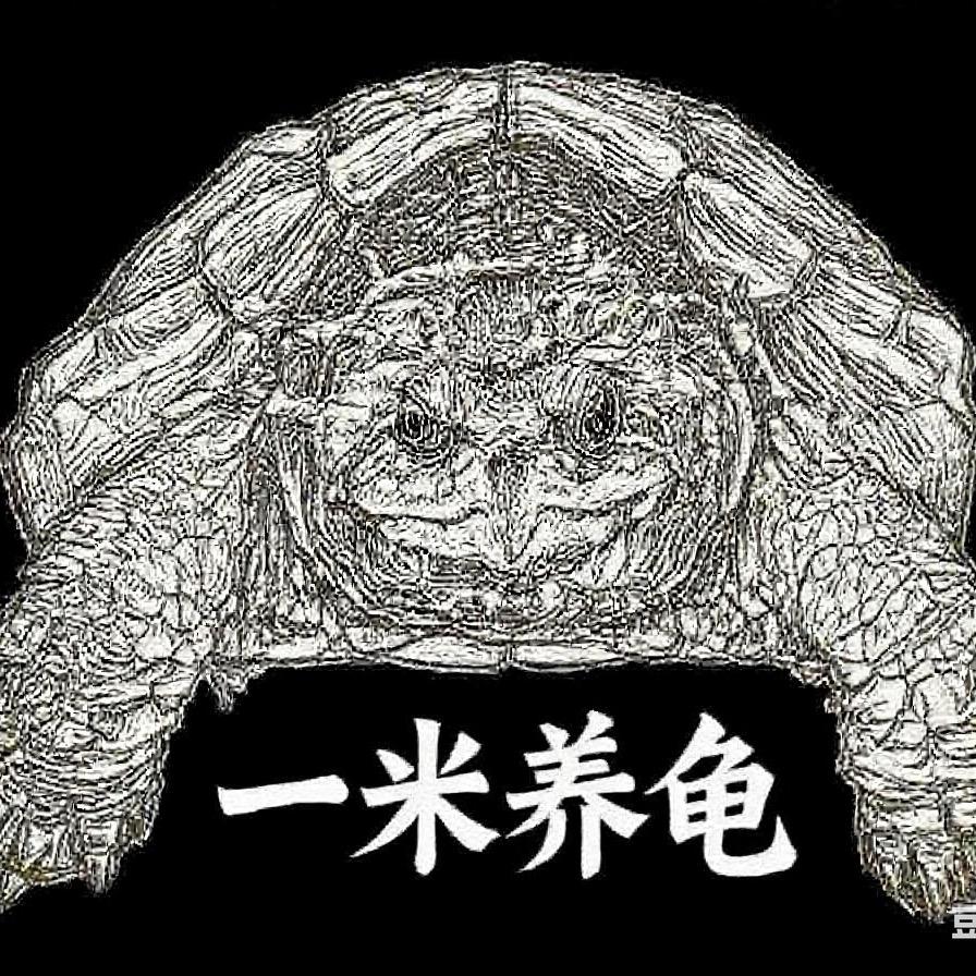 一米养龟日常