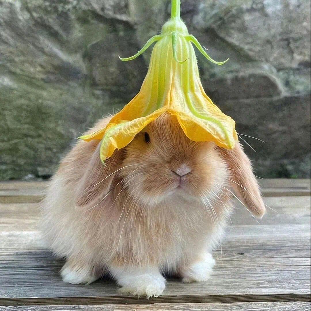 ·婷