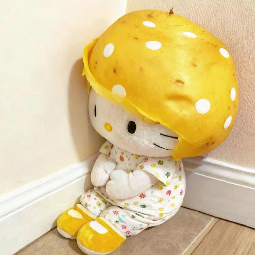 土豆kitty🍞