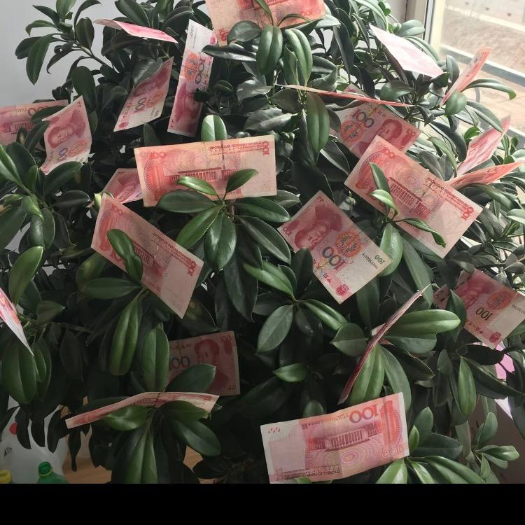 日进斗金财运亨通腰缠万贯财源广进富可敌国