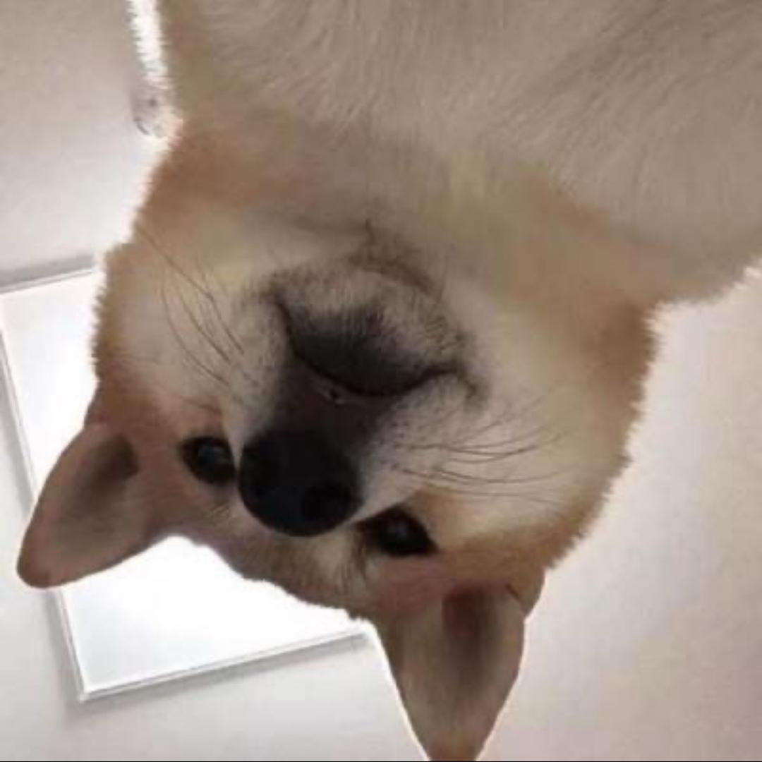 杰哥测评