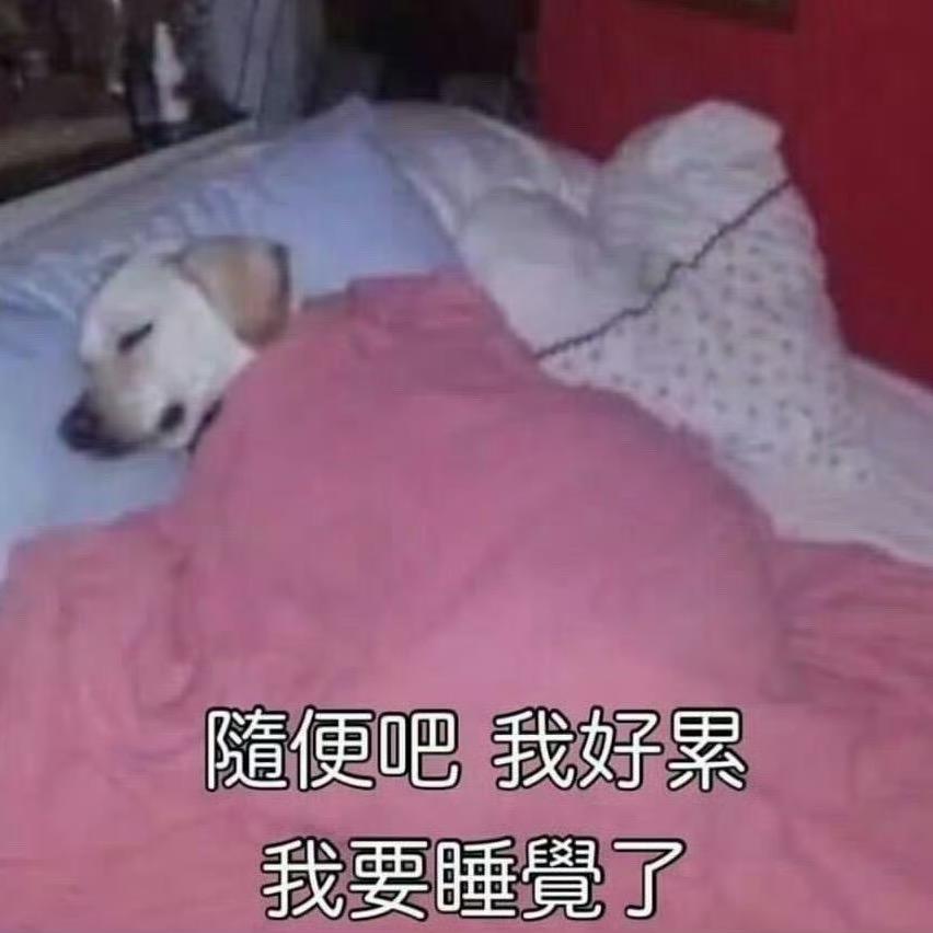 干锅兔头🐰