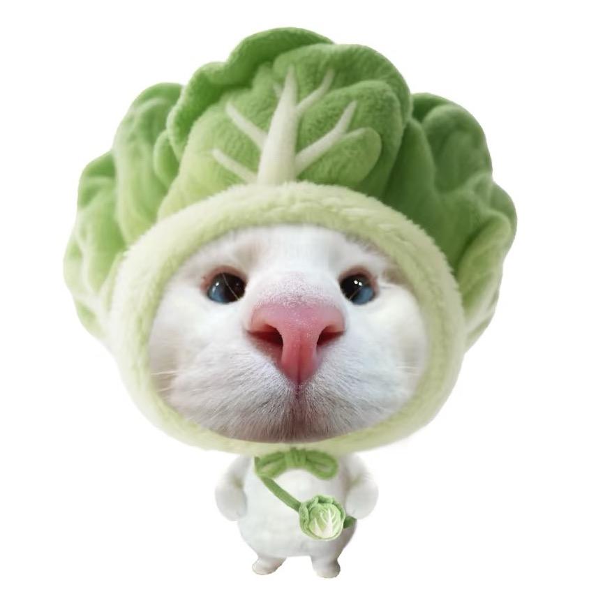 一颗白菜