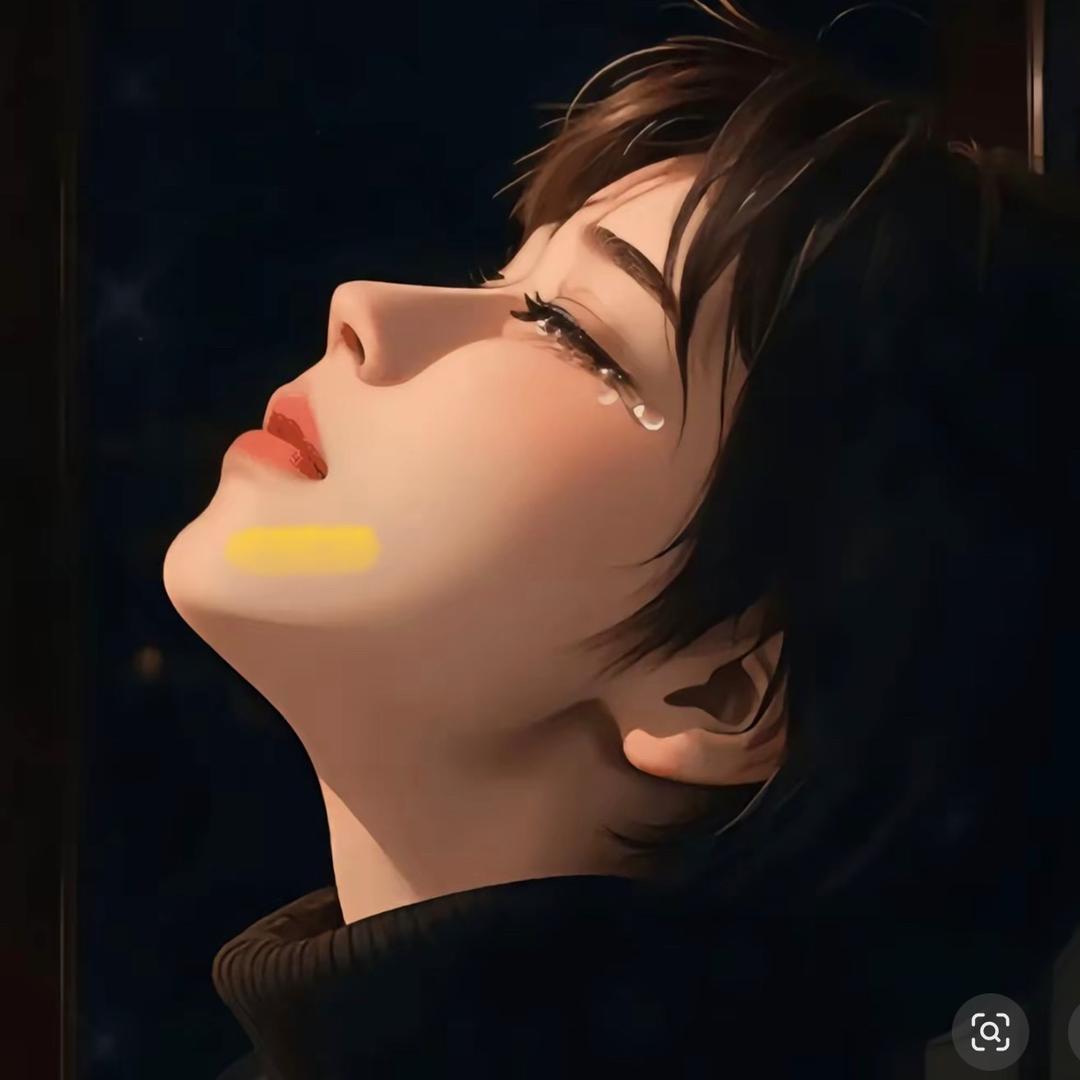 南 鸢