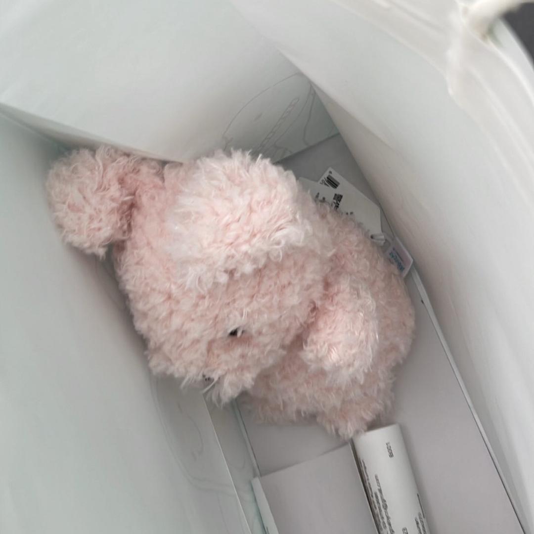 悲伤酸奶昔🐽