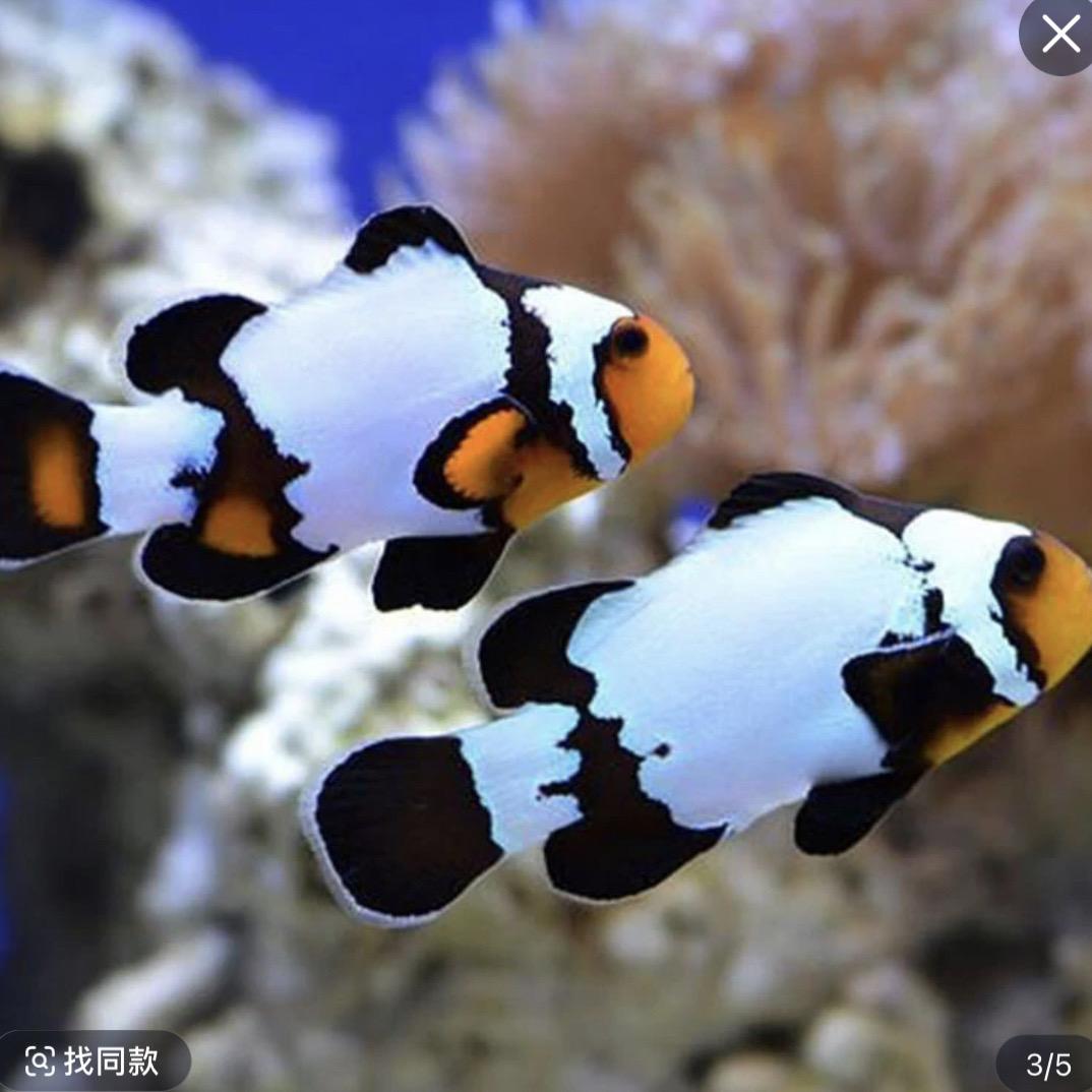 海之映水族馆