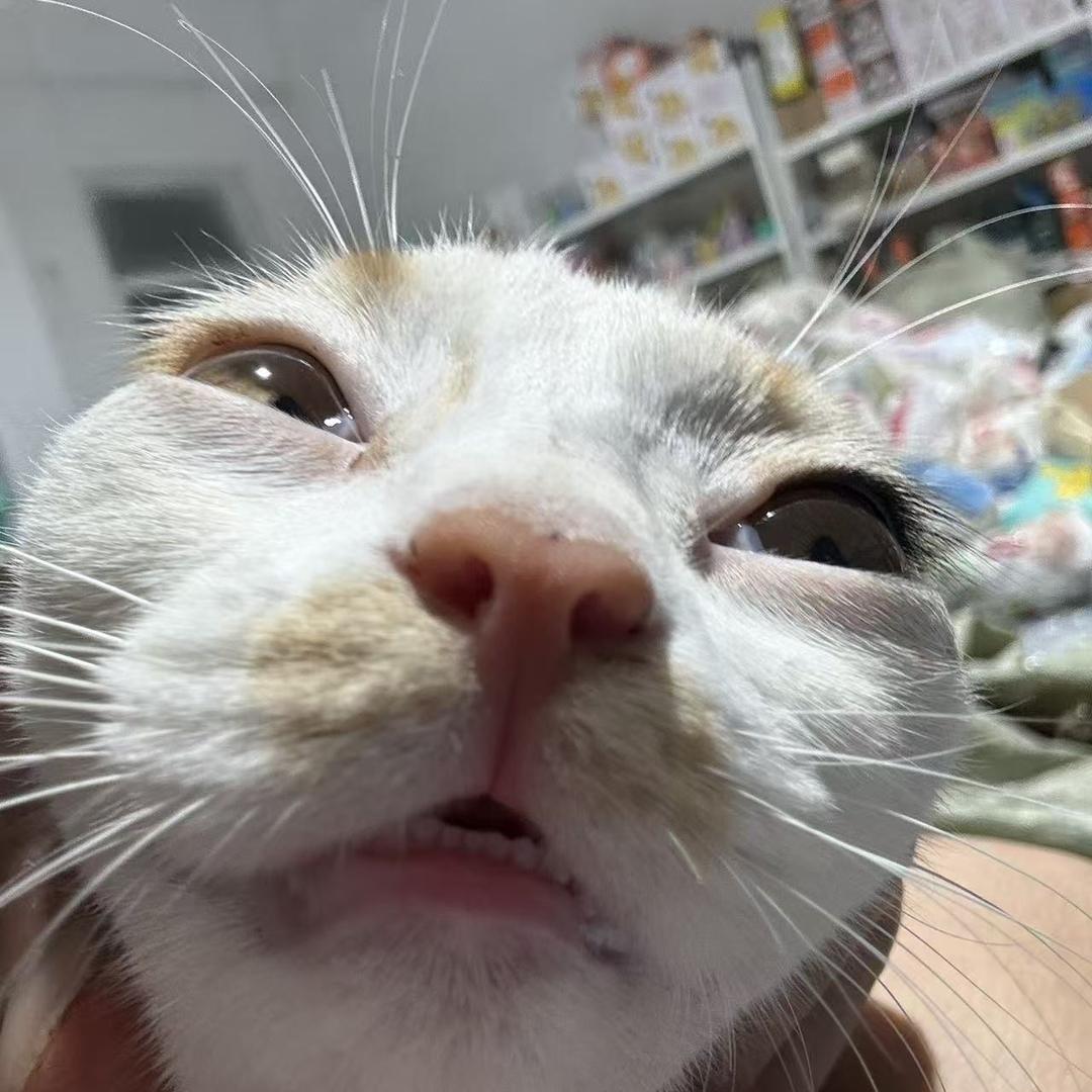 香香母婴优选5