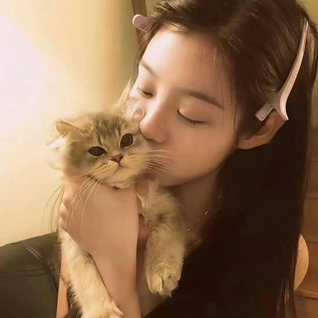 美美睡觉
