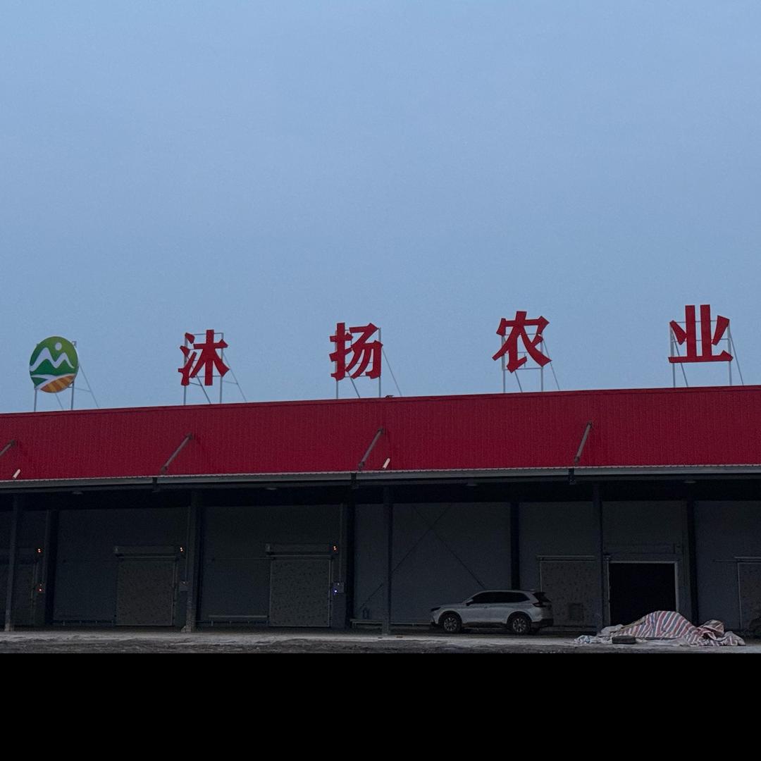 薛五毛