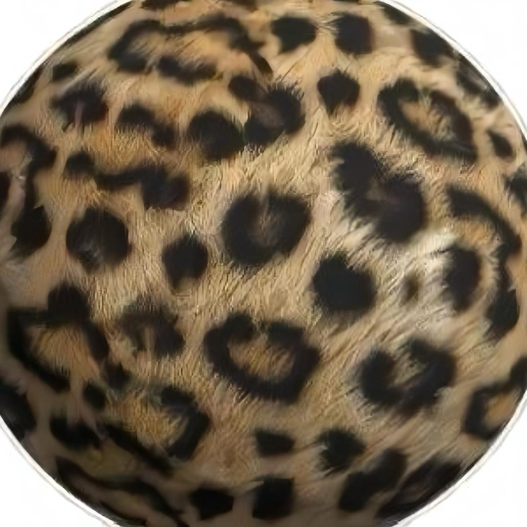 🐆