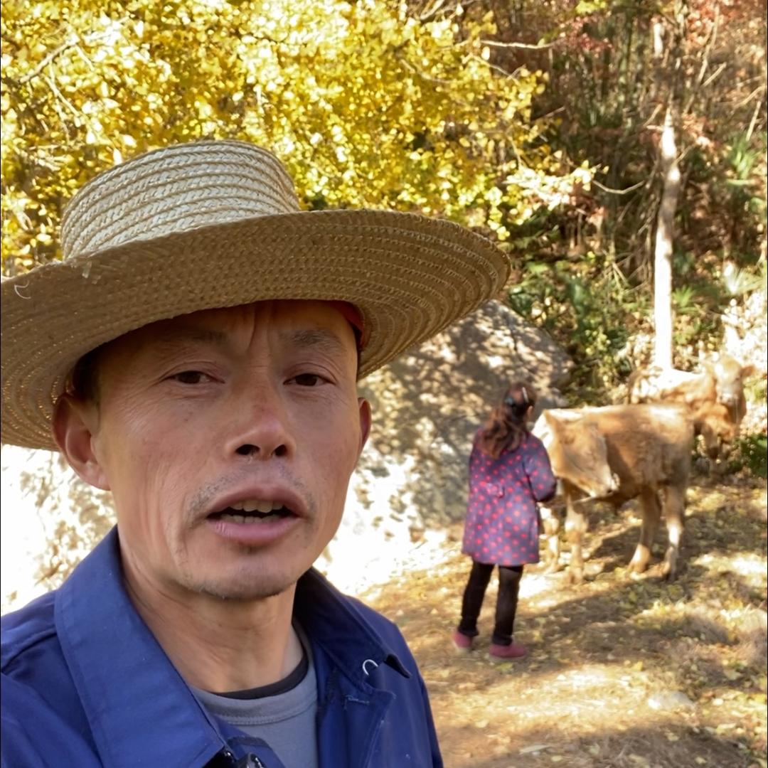 乡村五阿哥