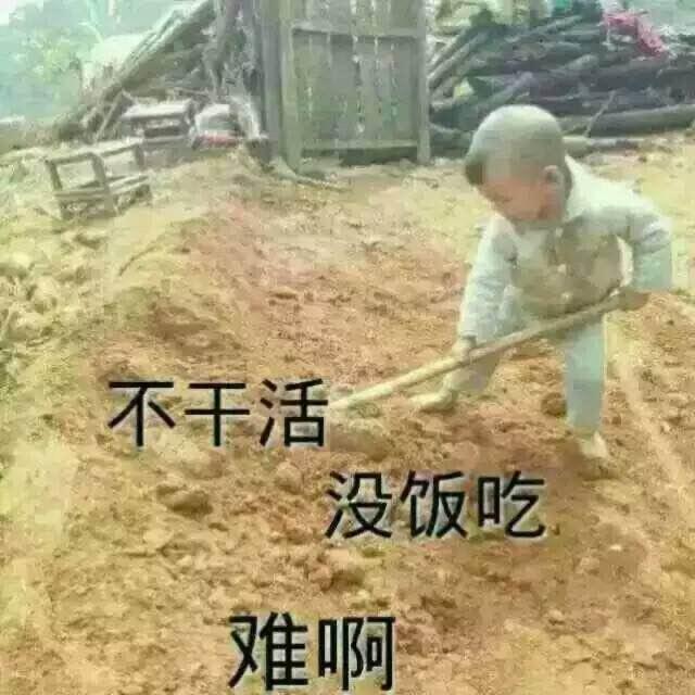 ￡叫兽↘大叔彡