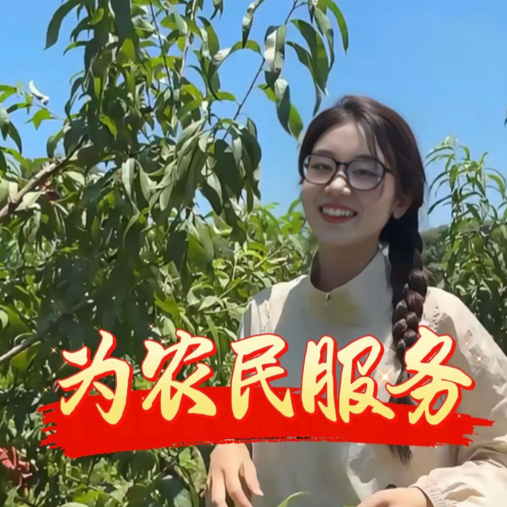 李李在果园