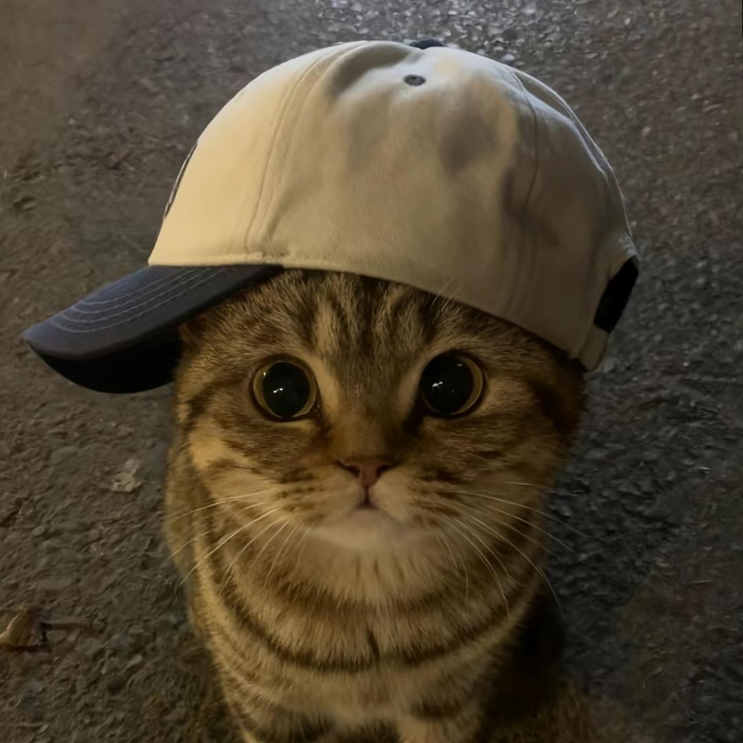 明天见。