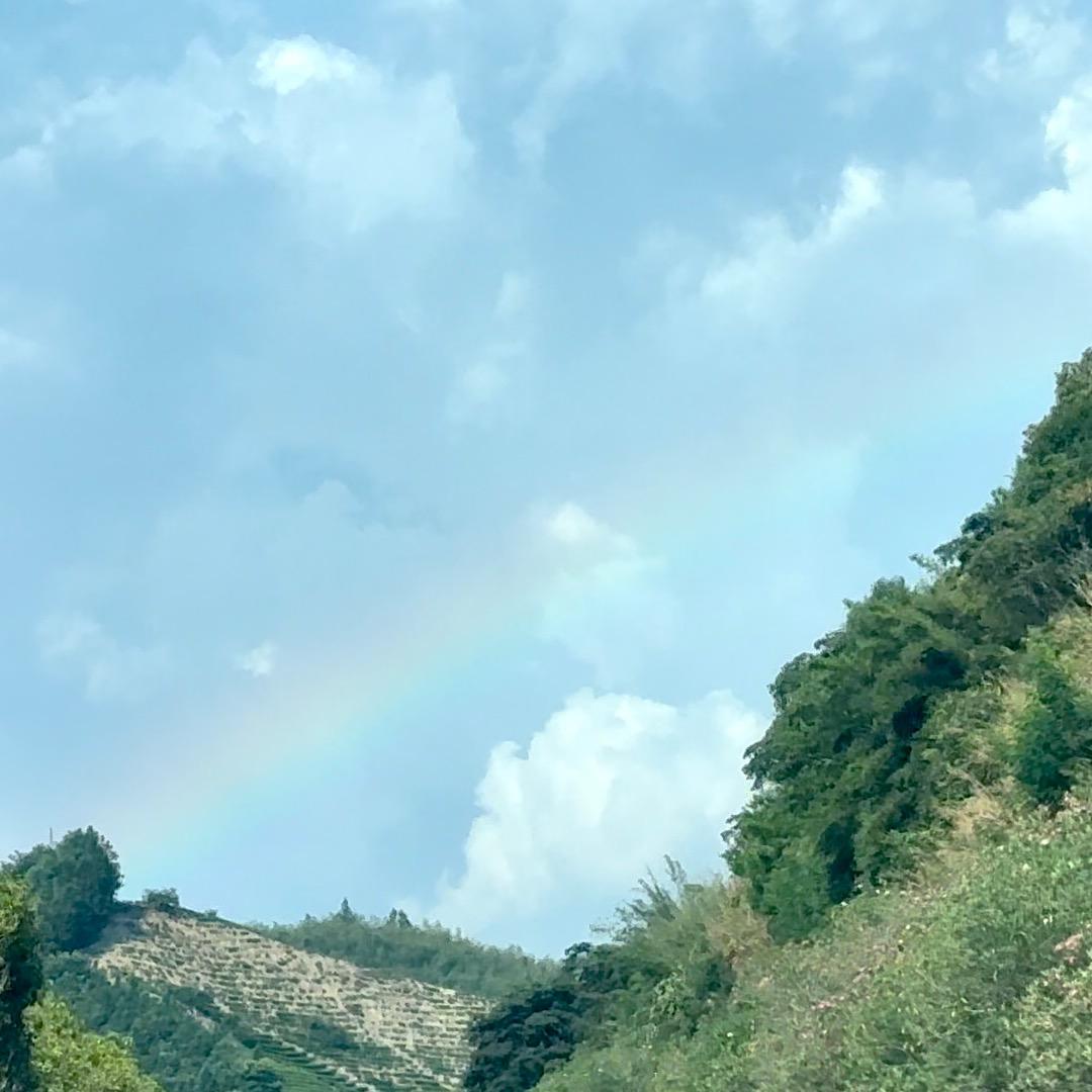 唯有敬亭山🍀
