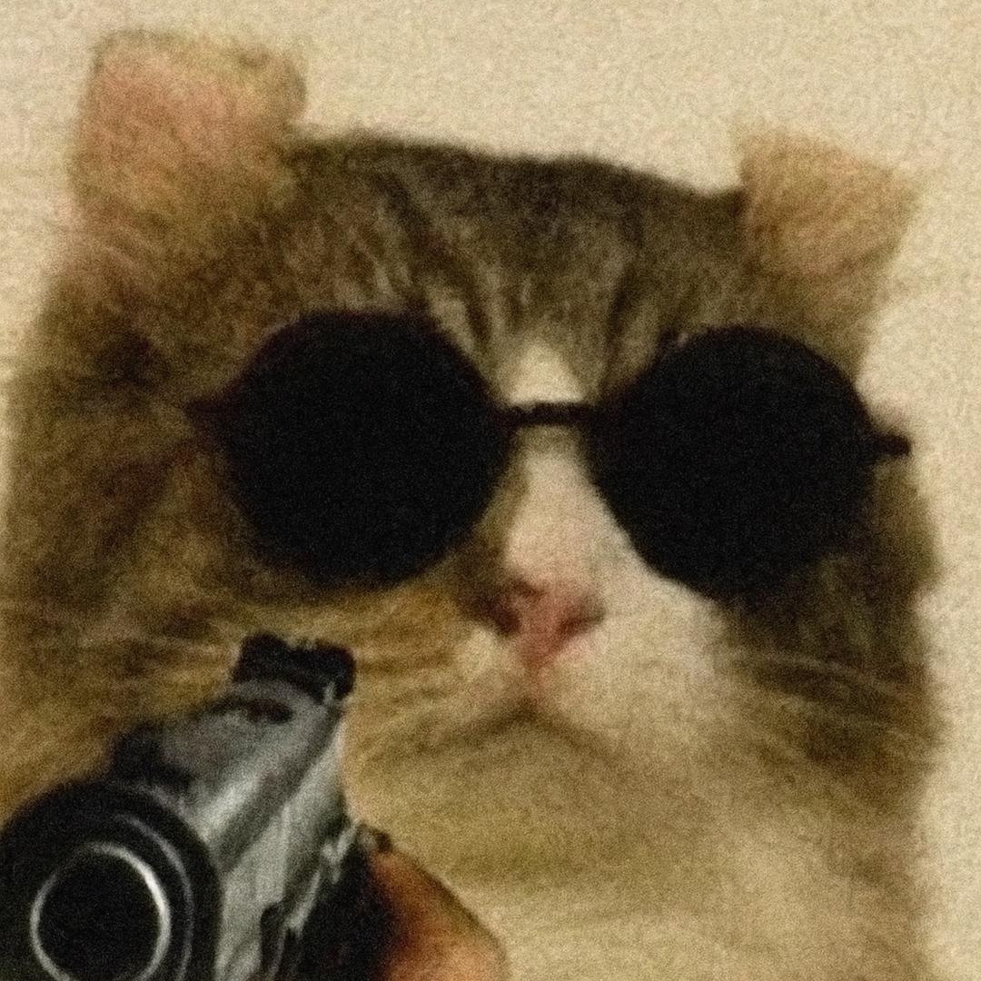 小鱼与猫