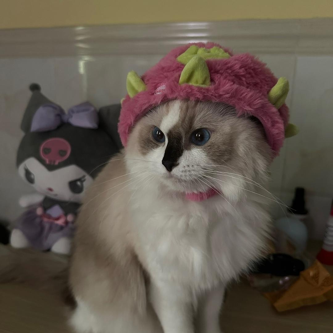 六月•