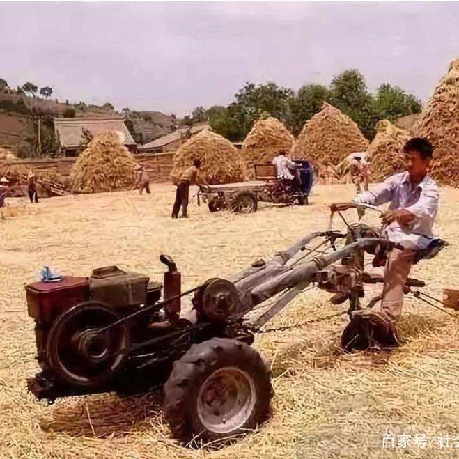 农夫🧑‍🌾