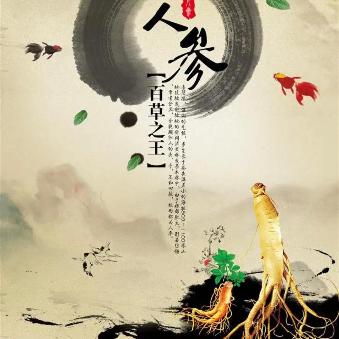 新大参贸