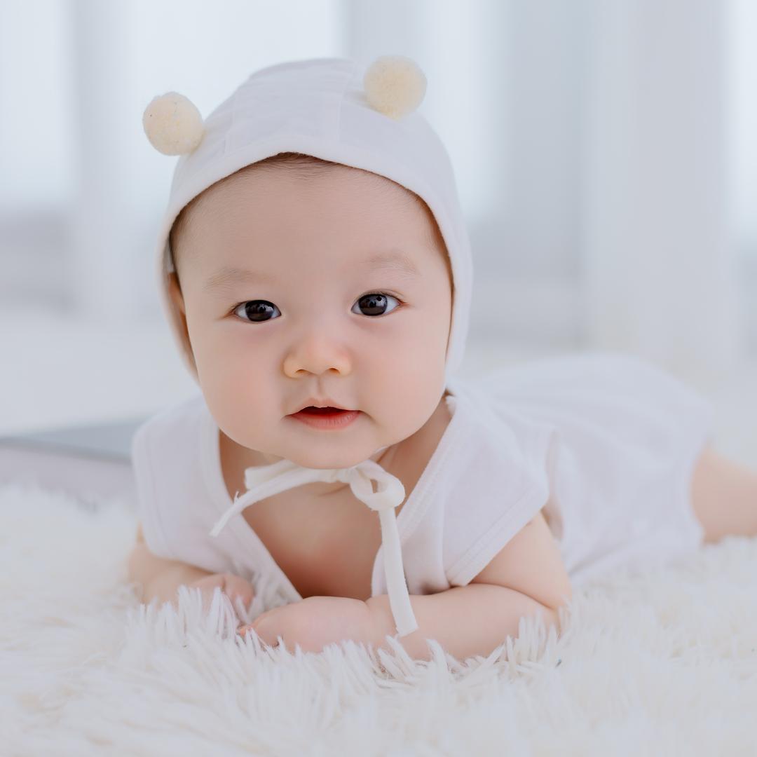 凌晨一点的猫🐈