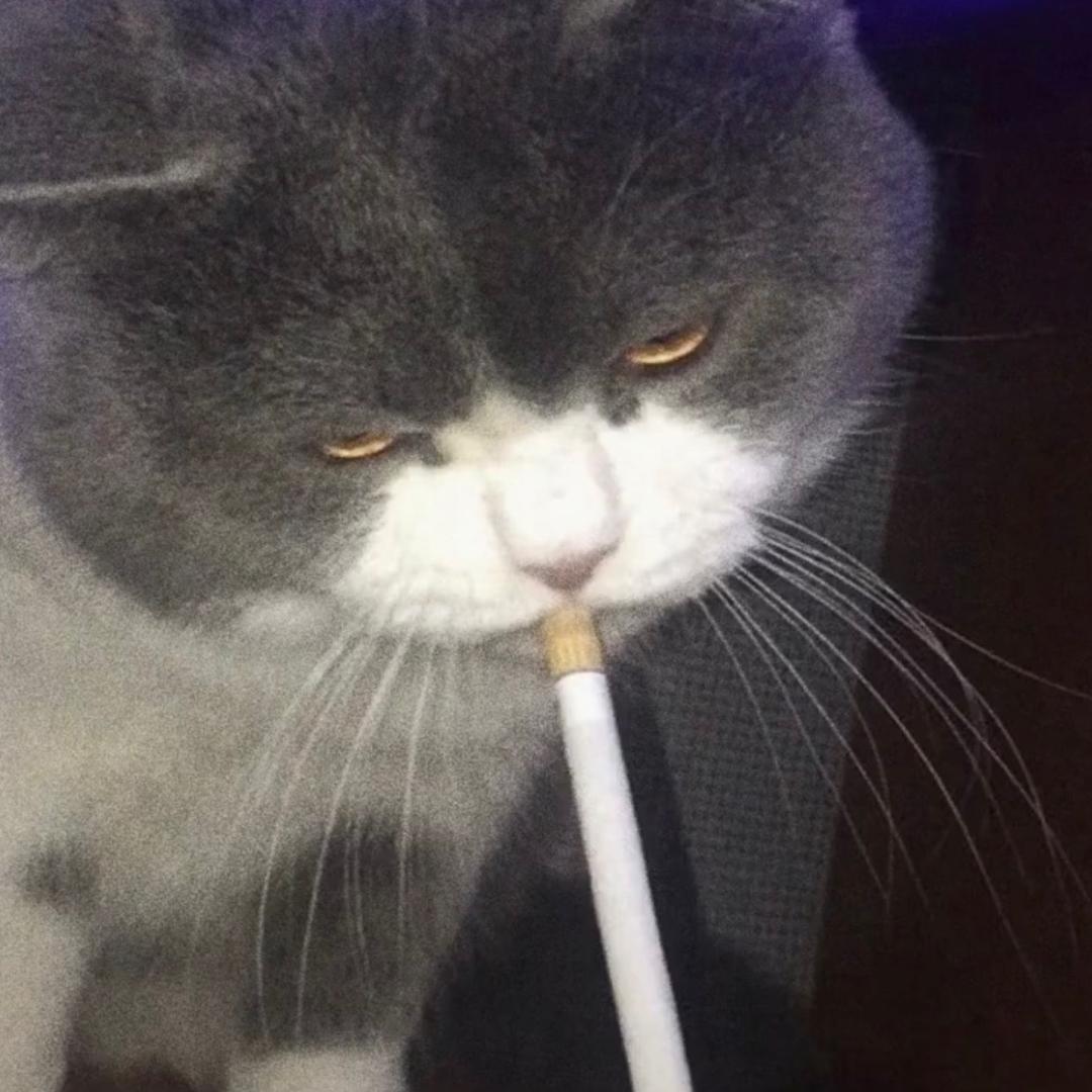 吴柯汛