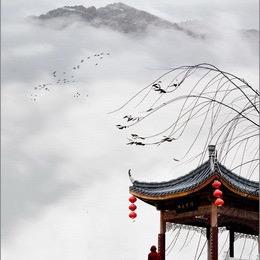 南归雁