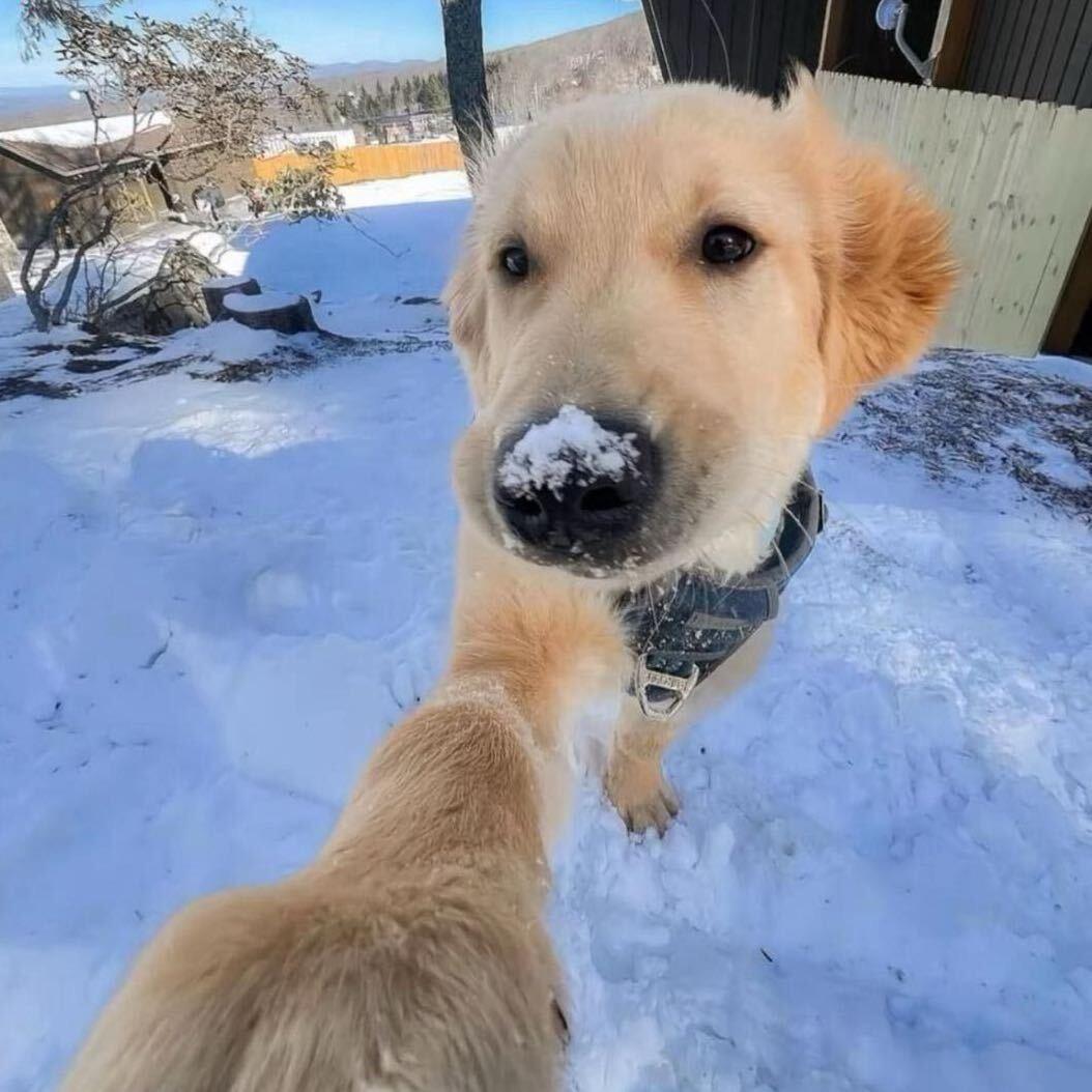 0       ‍