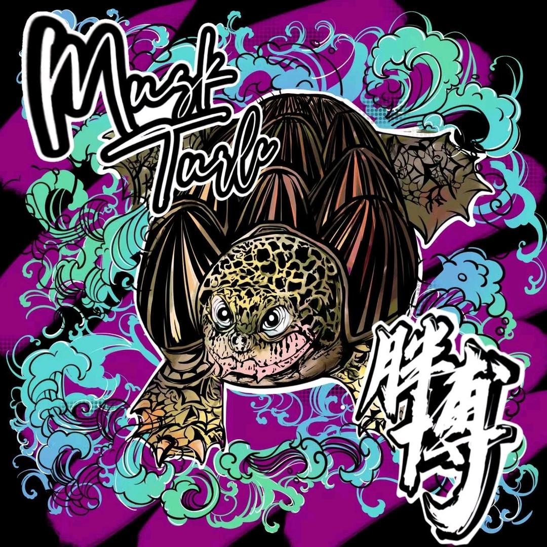 胖博的龟龟（收退坑）