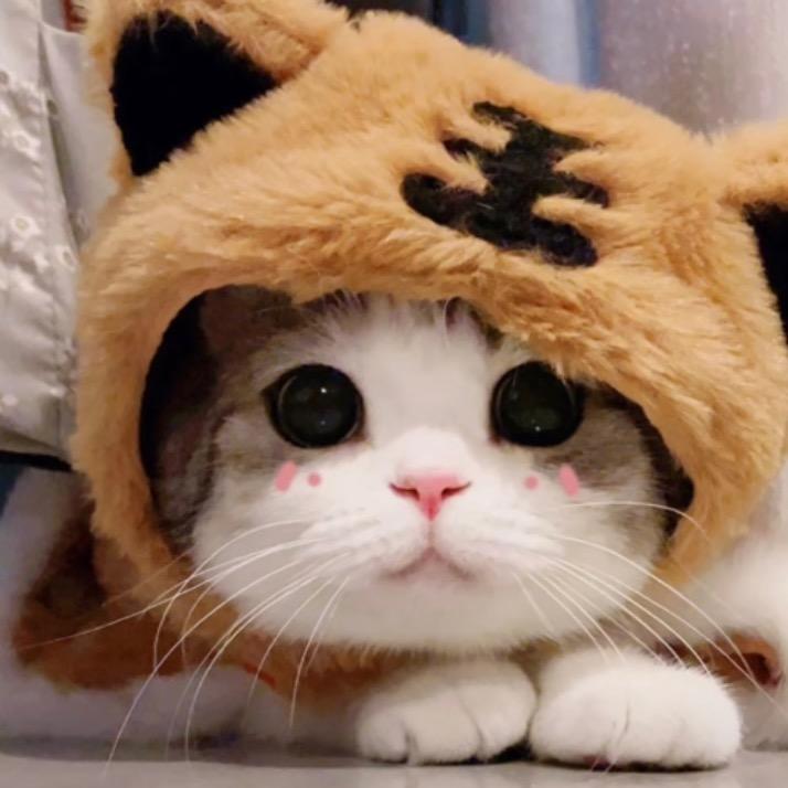 ✦͡ົ清 ͮ酒⃕ັ✭