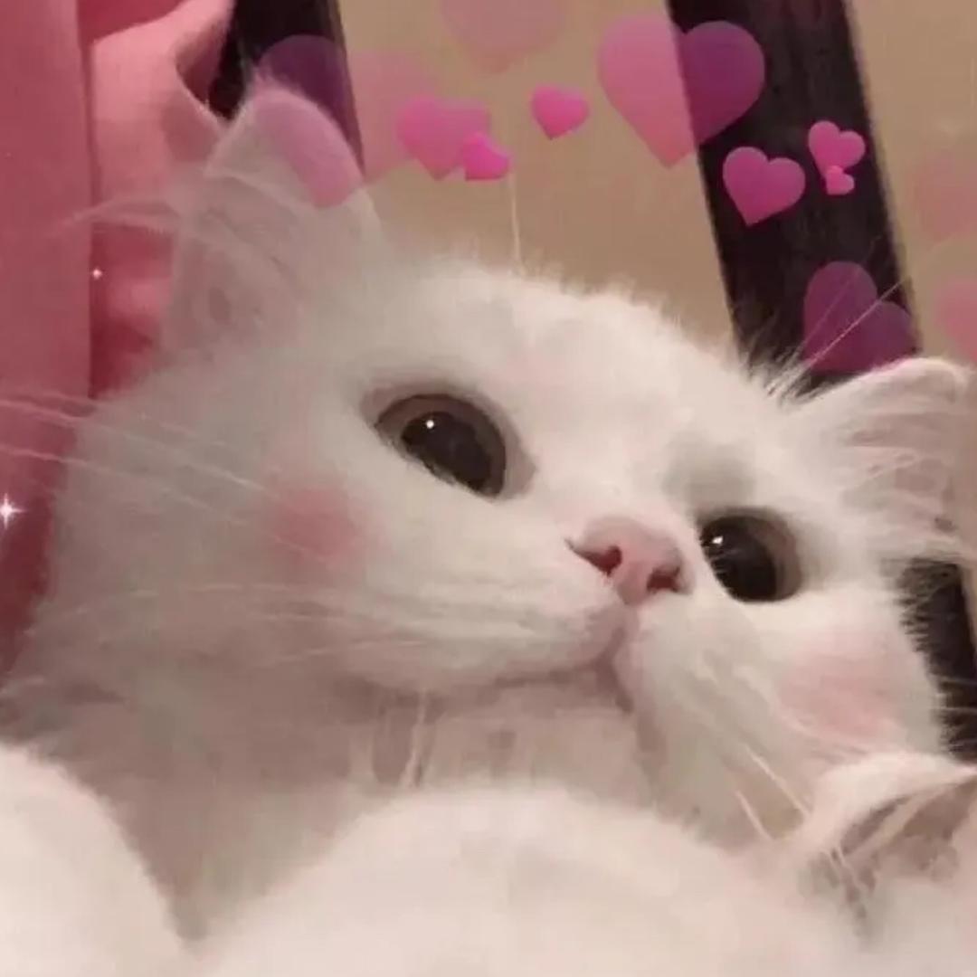 就叫我丘比特吧